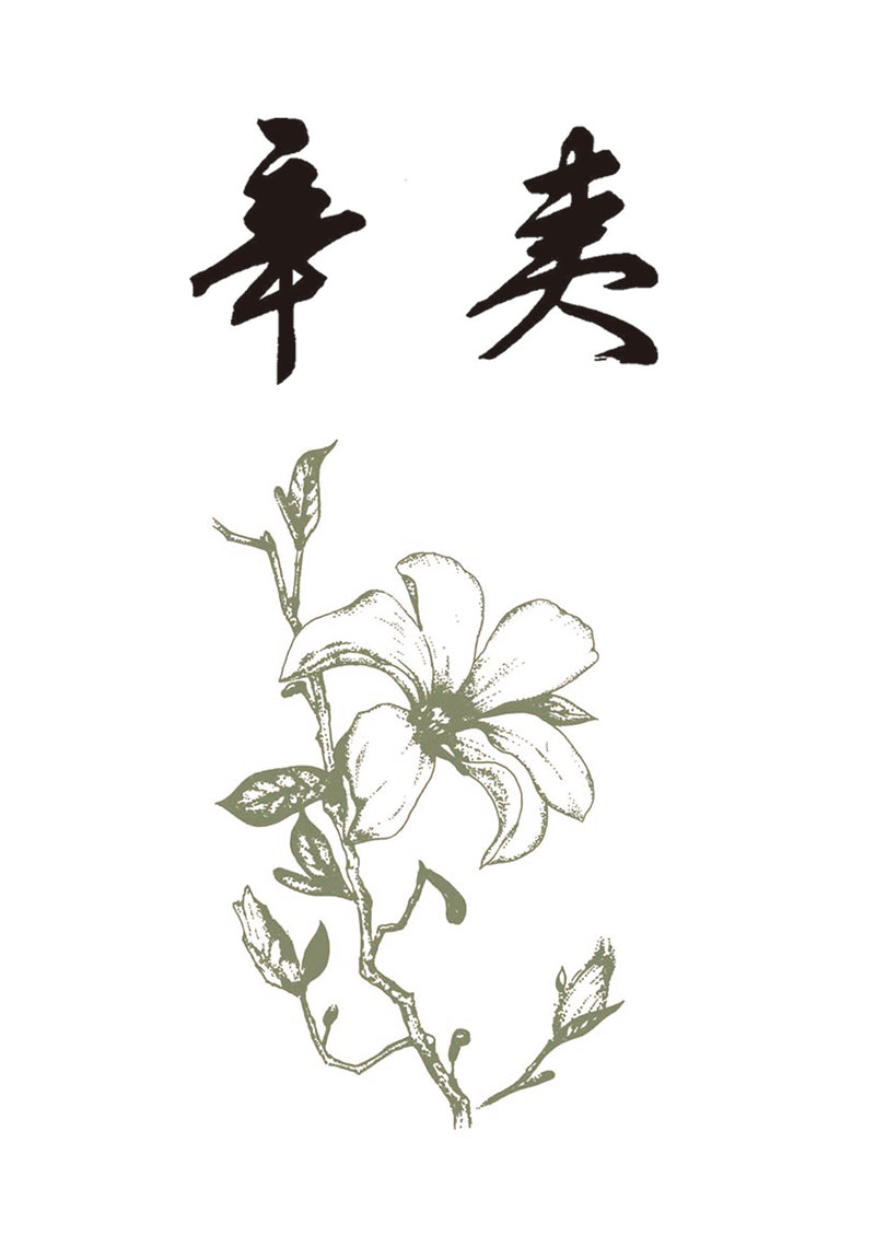 辛夷