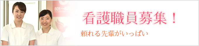 看護職員募集