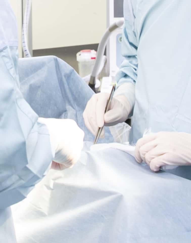 疾患に直結する研究