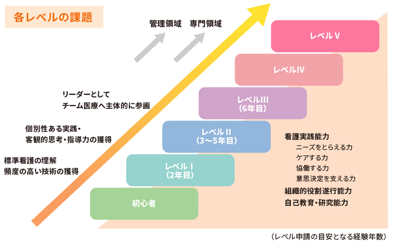 クリニカルラダーを活用した教育