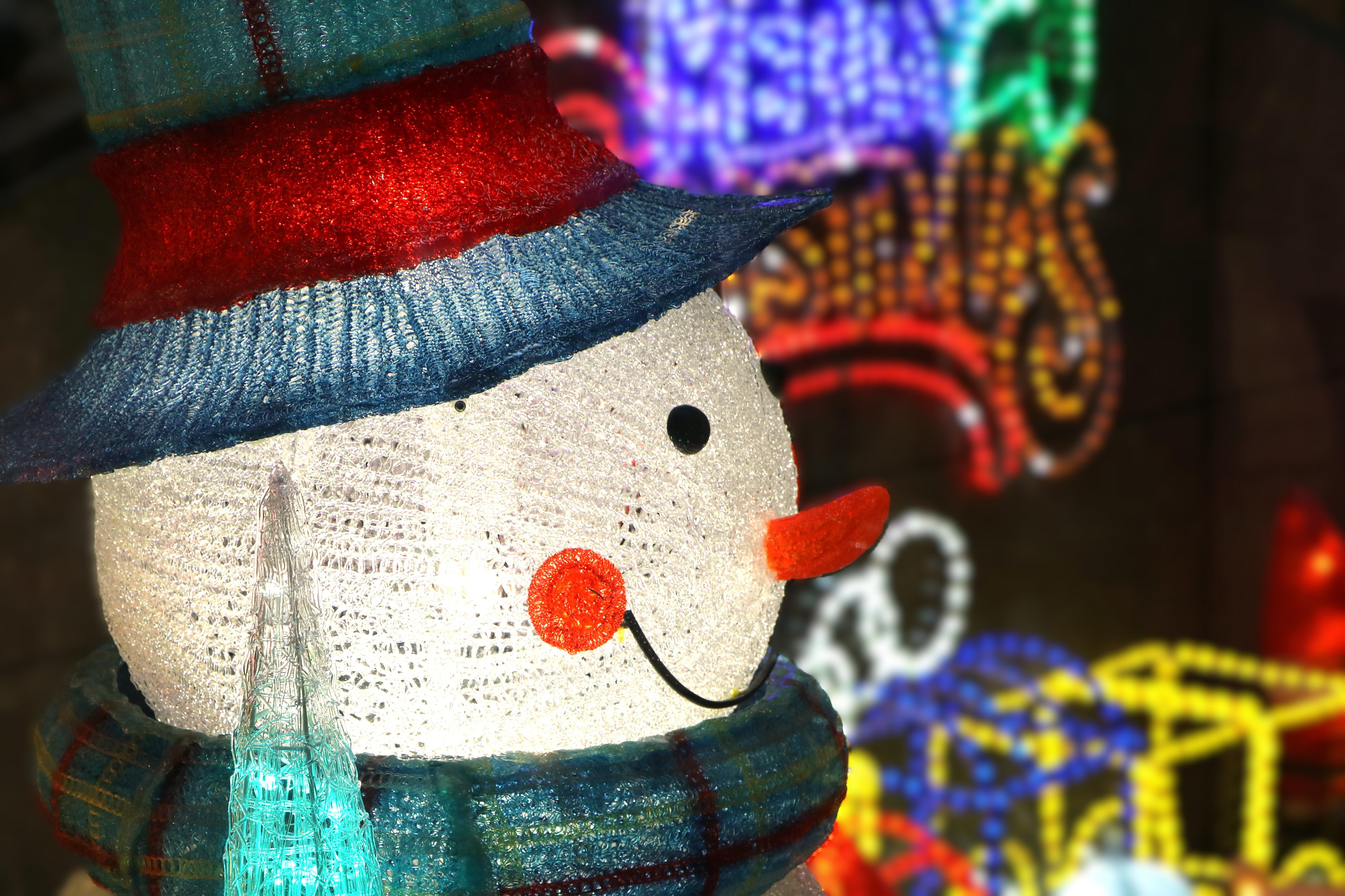 中庭もご覧いただけますと幸いです