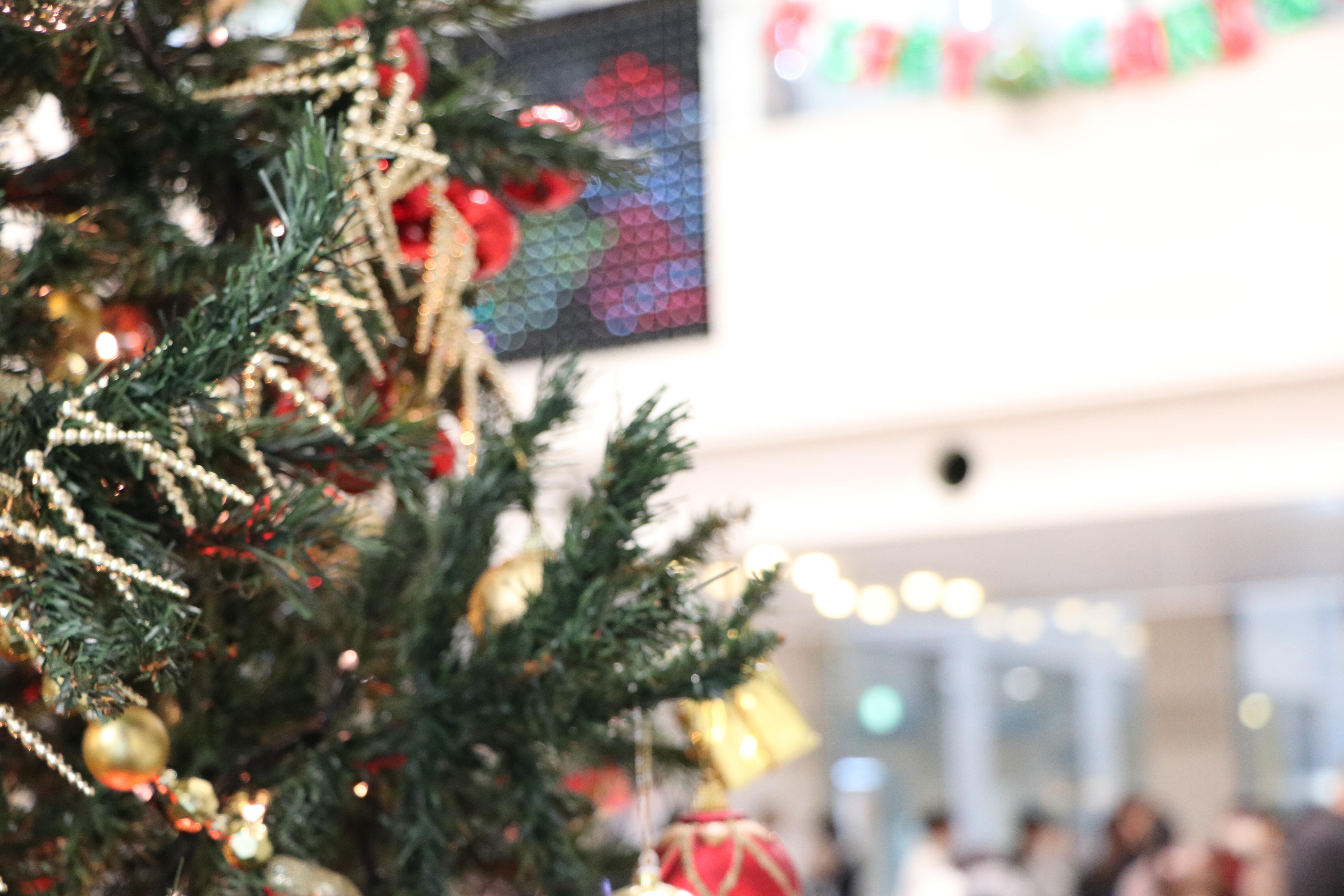 2階のイルミネーションがパワーアップしました